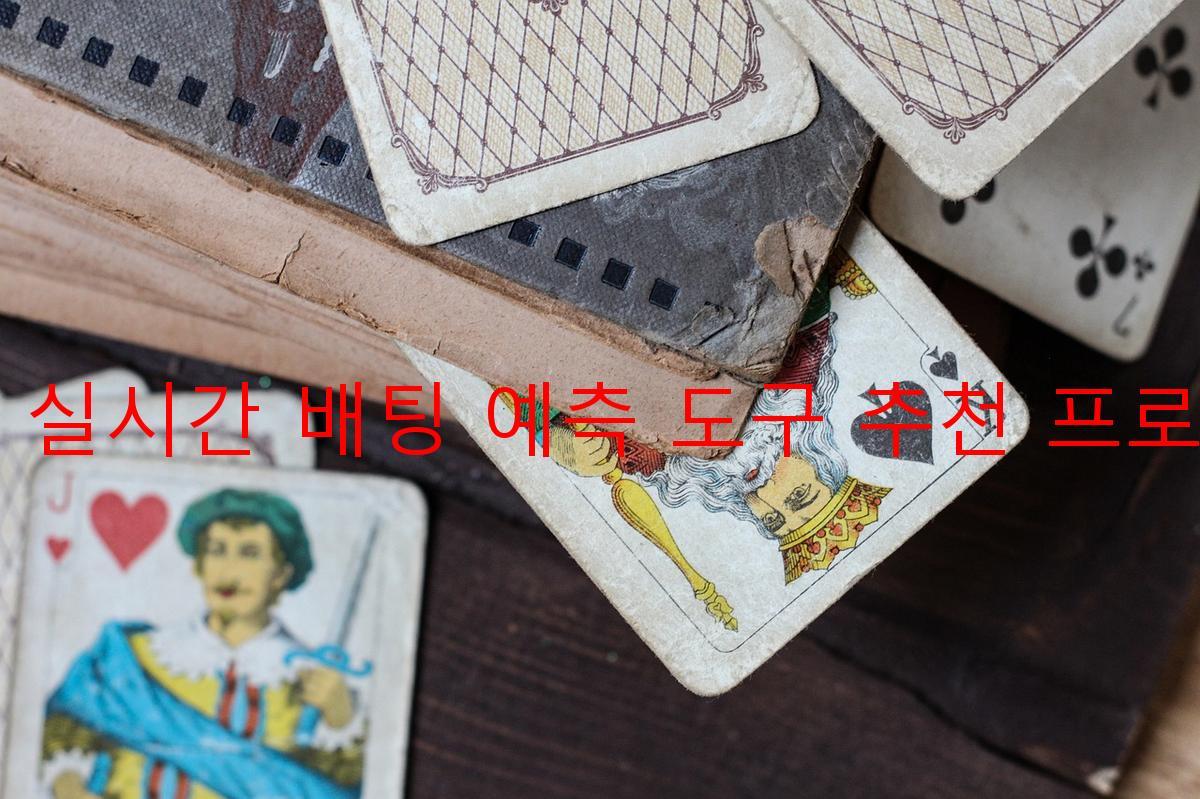 빅휠 실시간 배팅 예측 도구 추천 프로그램