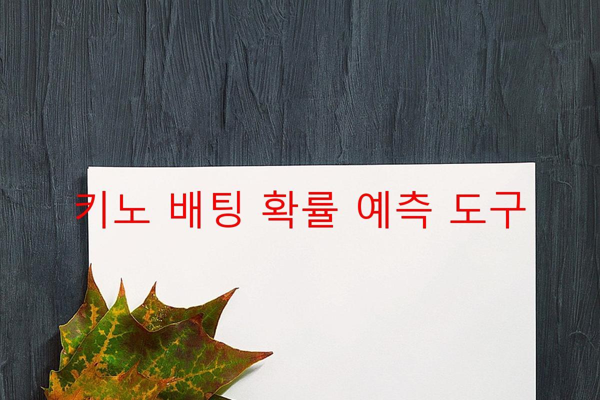 키노 배팅 확률 예측 도구