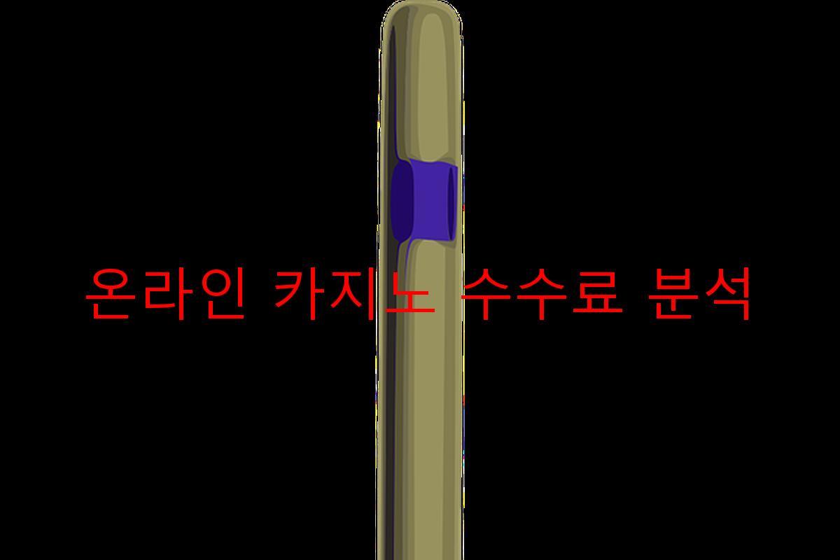 온라인 카지노 수수료 분석