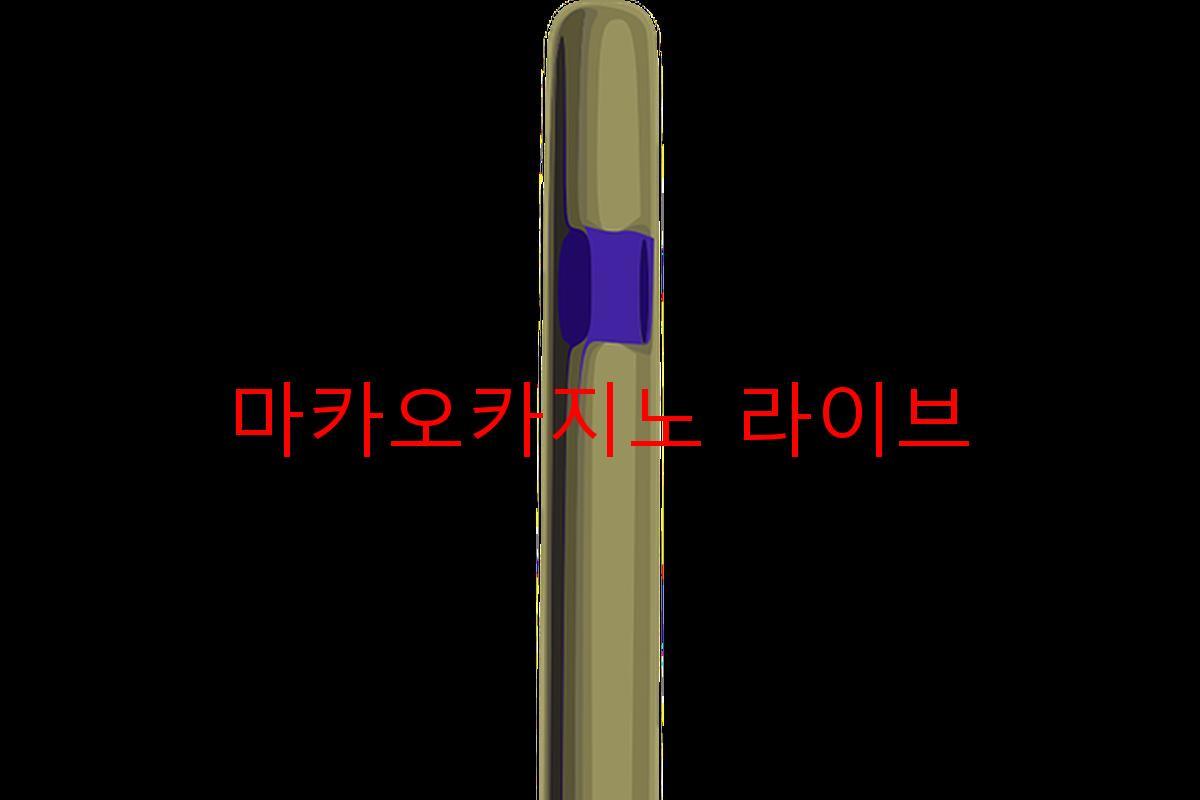 마카오카지노 라이브