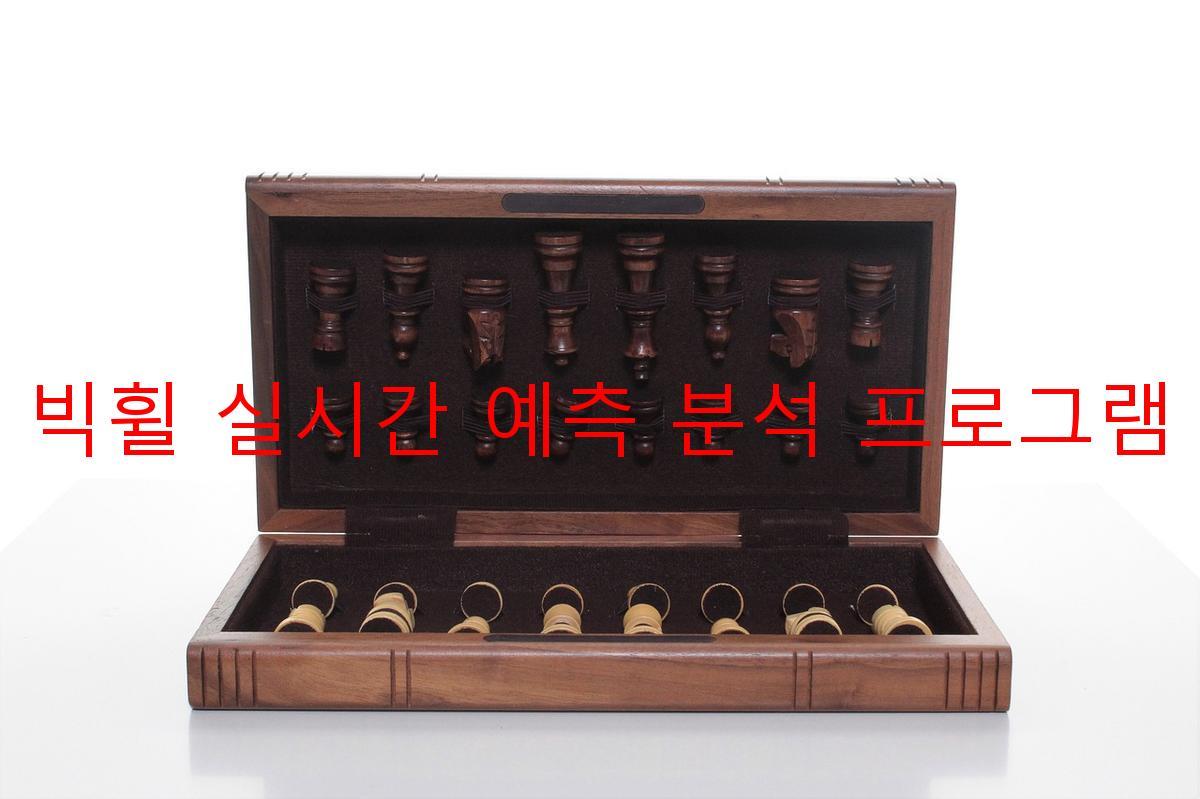 빅휠 실시간 예측 분석 프로그램