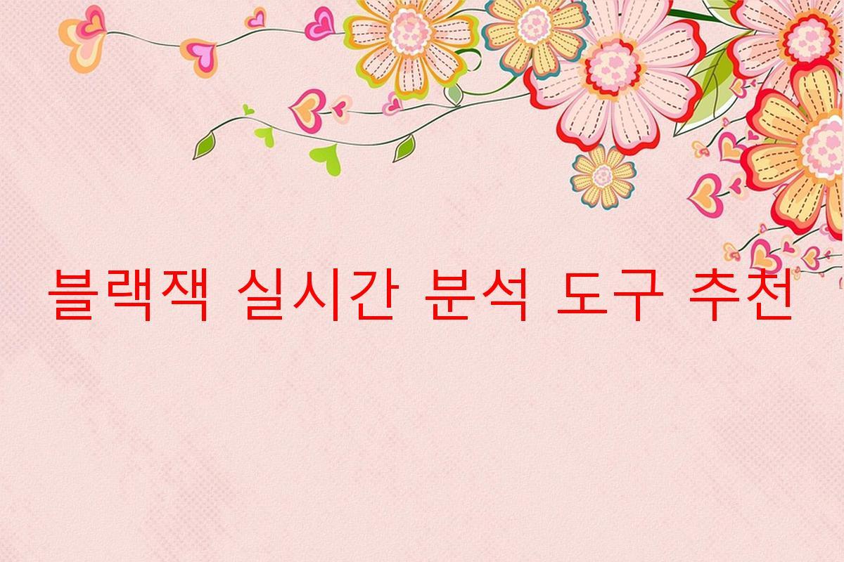 블랙잭 실시간 분석 도구 추천