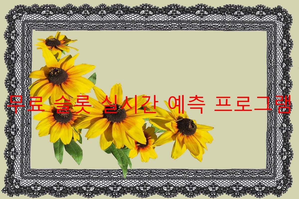 무료 슬롯 실시간 예측 프로그램