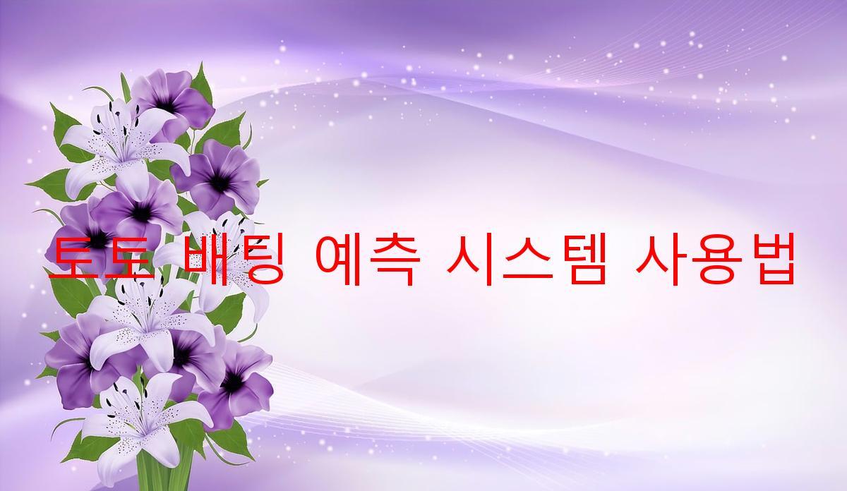 토토 배팅 예측 시스템 사용법