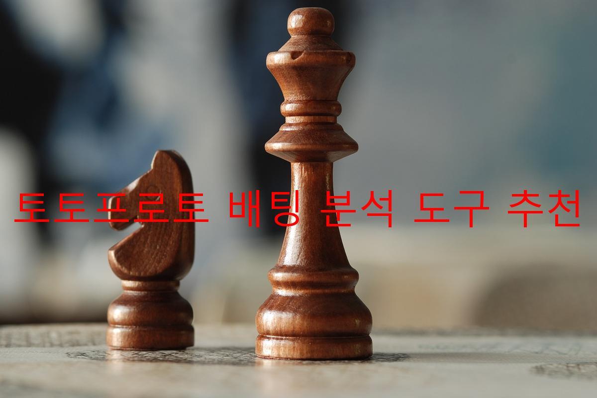 토토프로토 배팅 분석 도구 추천