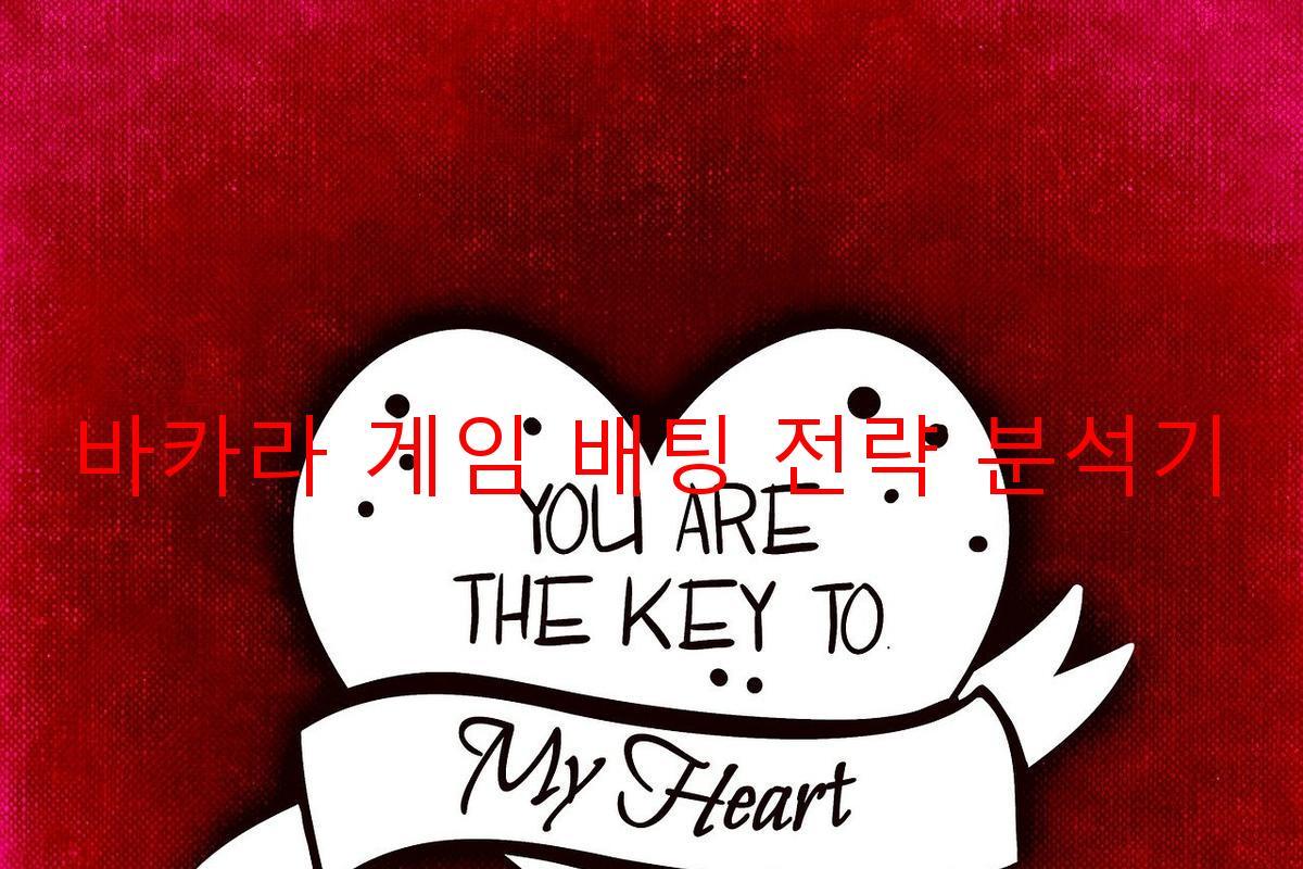 바카라 게임 배팅 전략 분석기