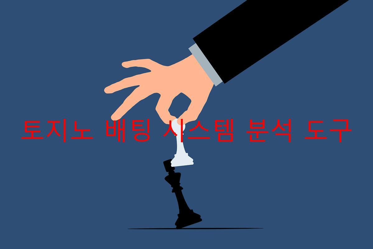 토지노 배팅 시스템 분석 도구