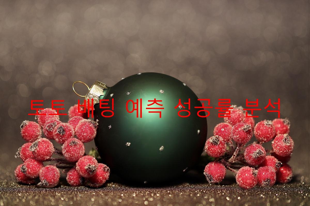 토토 배팅 예측 성공률 분석