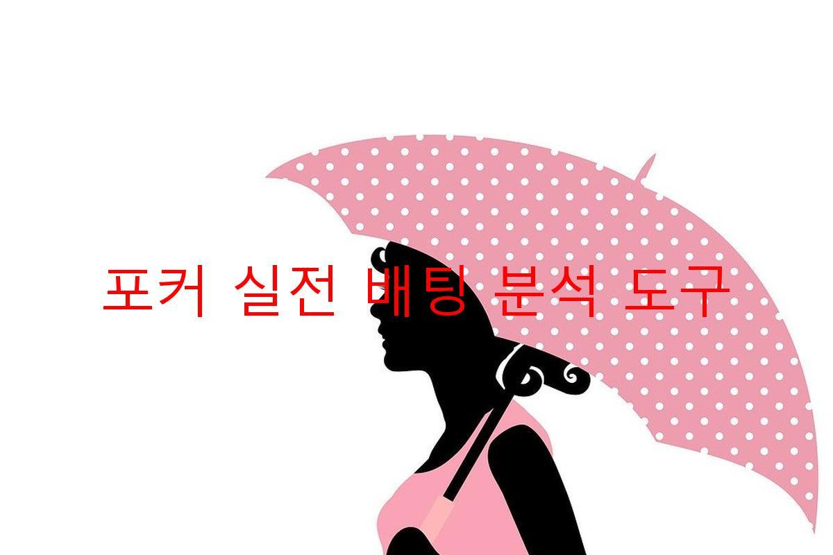 포커 실전 배팅 분석 도구