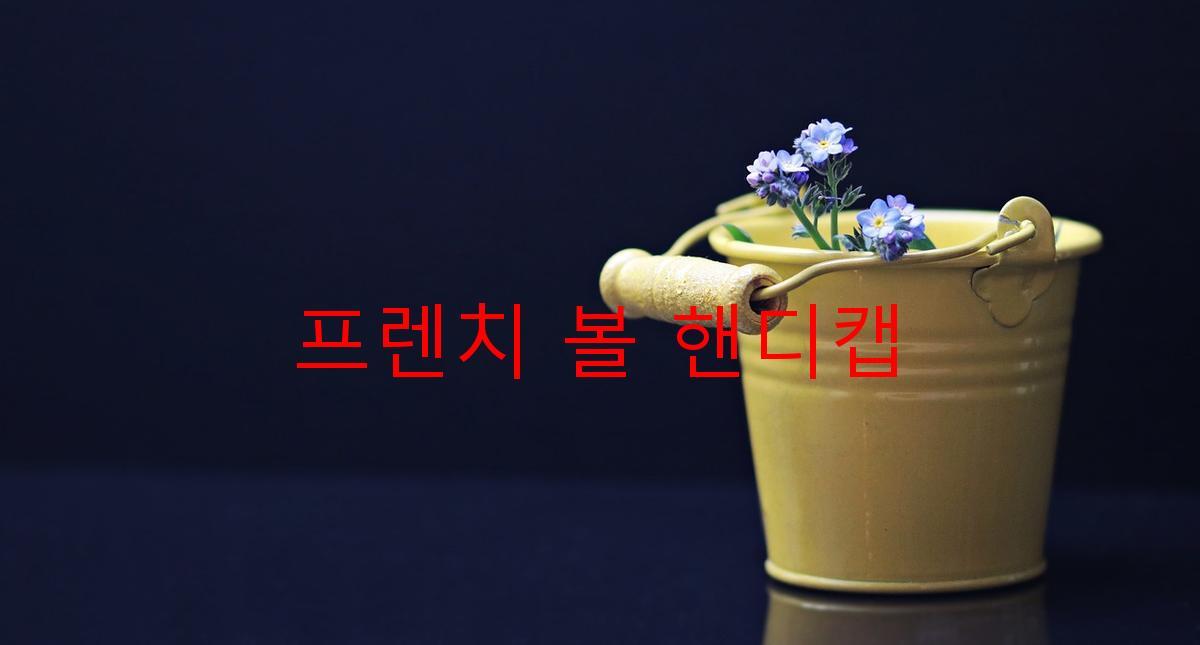 프렌치 볼 핸디캡