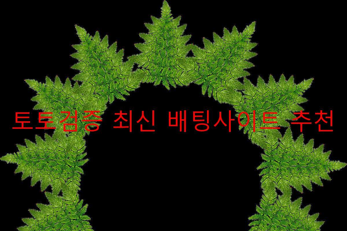 토토검증 최신 배팅사이트 추천