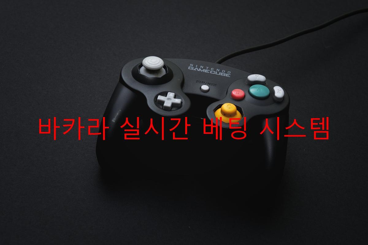 바카라 실시간 베팅 시스템