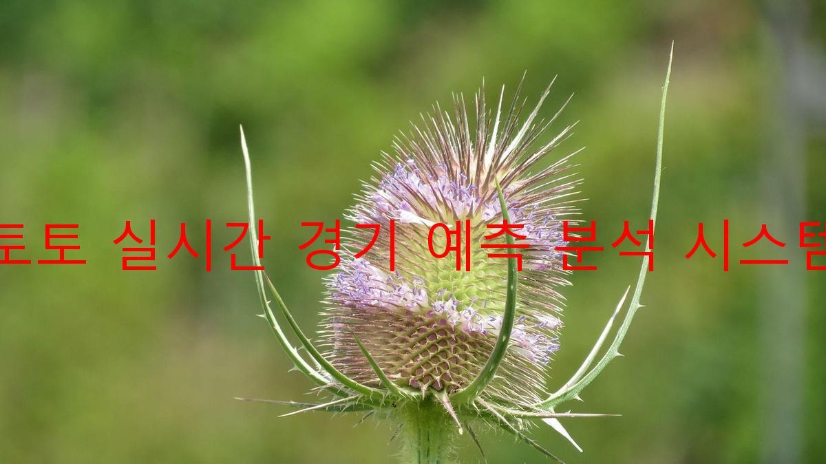 토토 실시간 경기 예측 분석 시스템