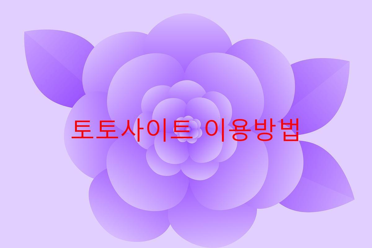 토토사이트 이용방법