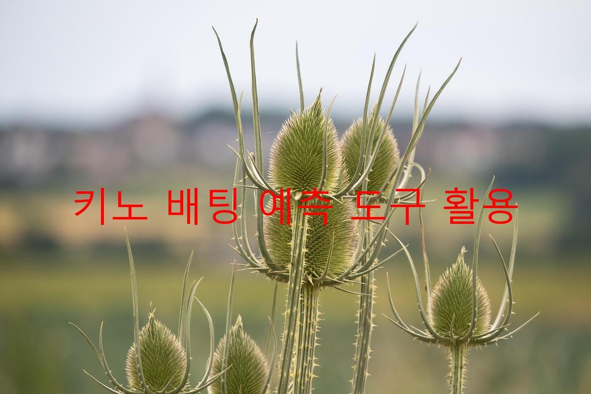 키노 배팅 예측 도구 활용