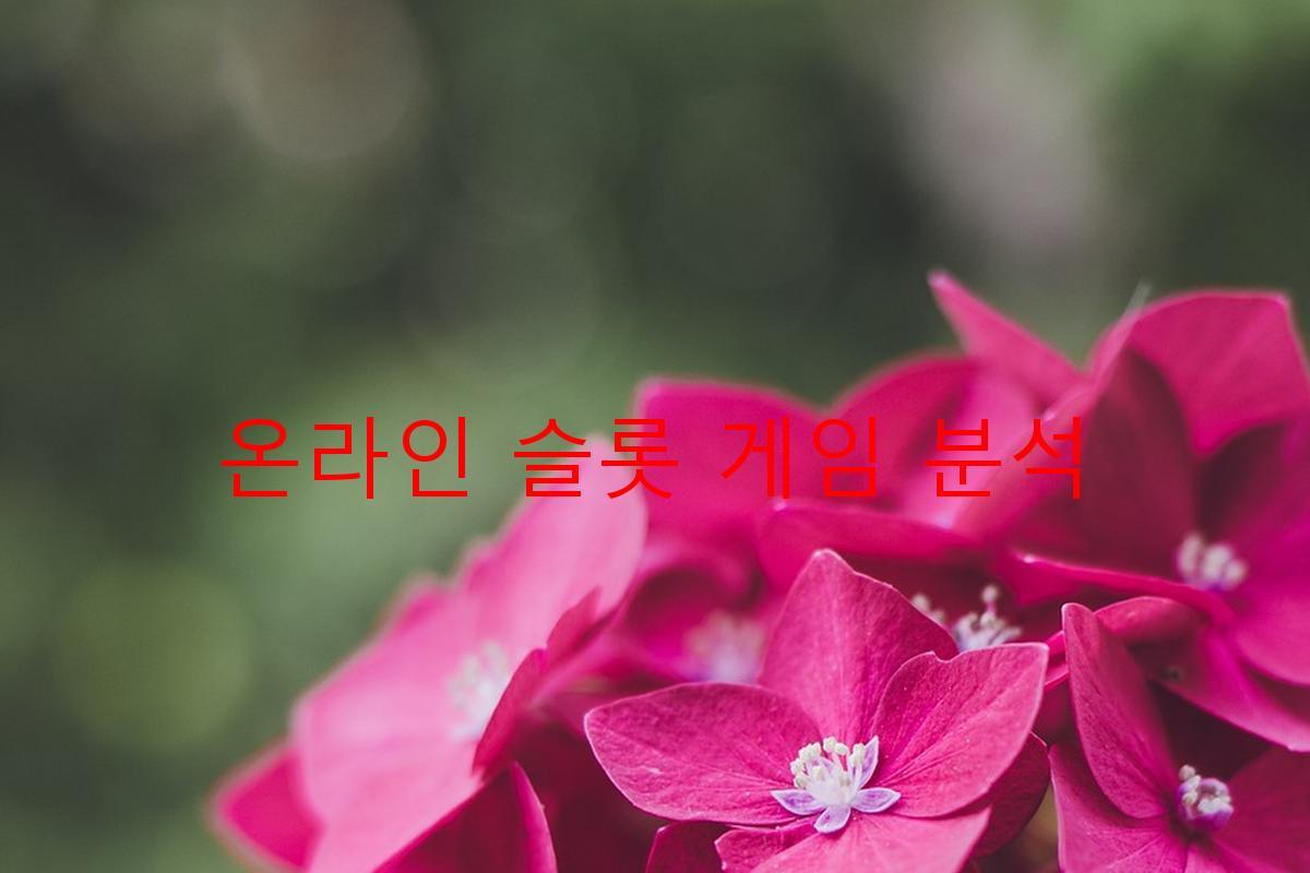 온라인 슬롯 게임 분석