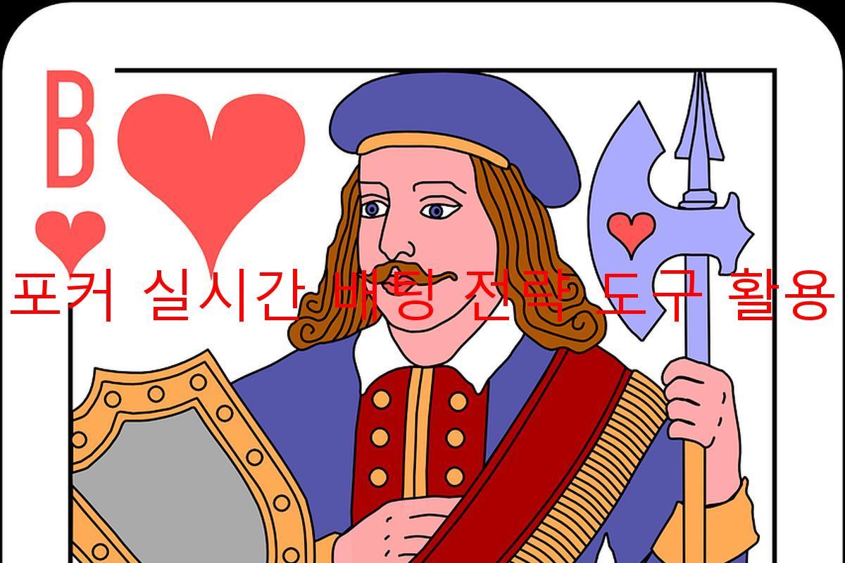 포커 실시간 배팅 전략 도구 활용