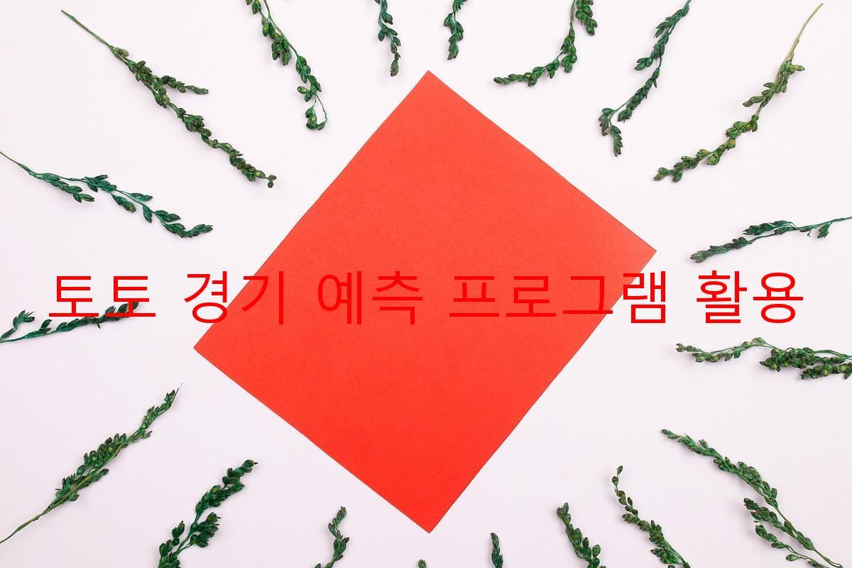 토토 경기 예측 프로그램 활용