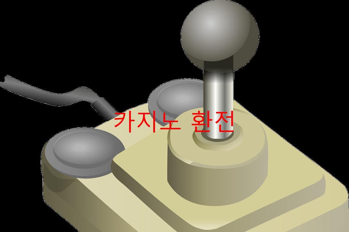 카지노 환전