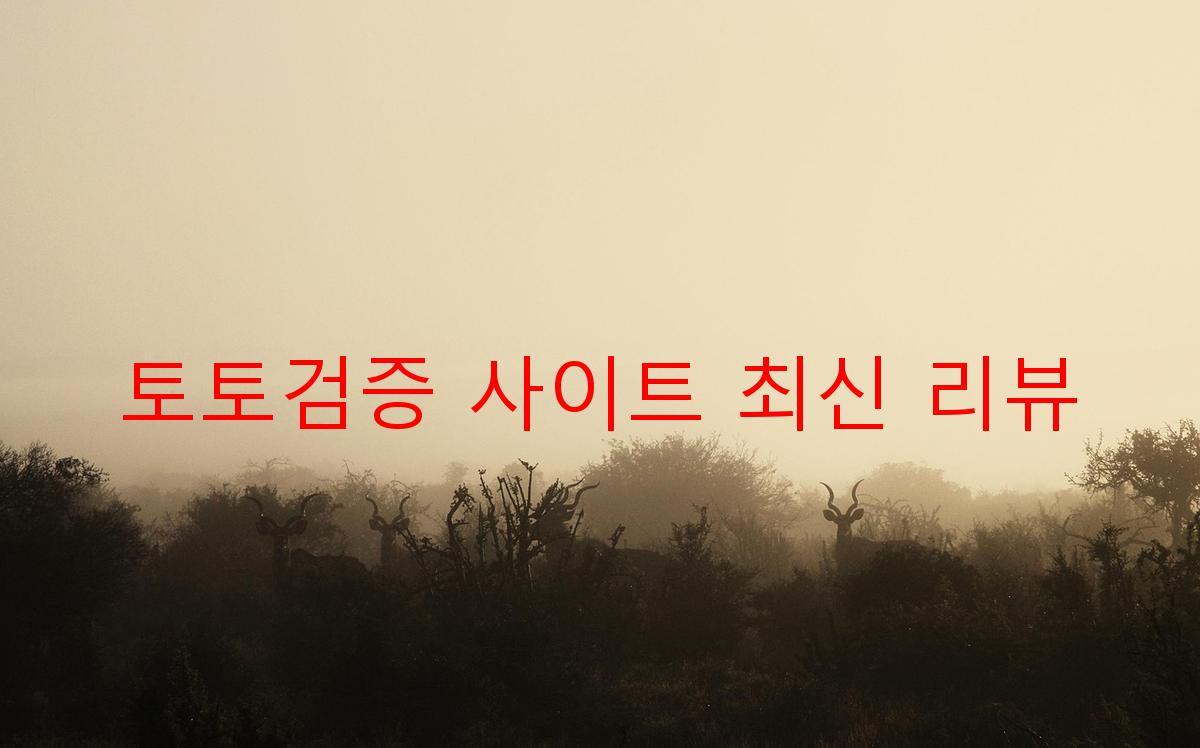 토토검증 사이트 최신 리뷰