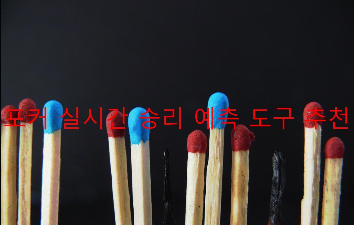 포커 실시간 승리 예측 도구 추천