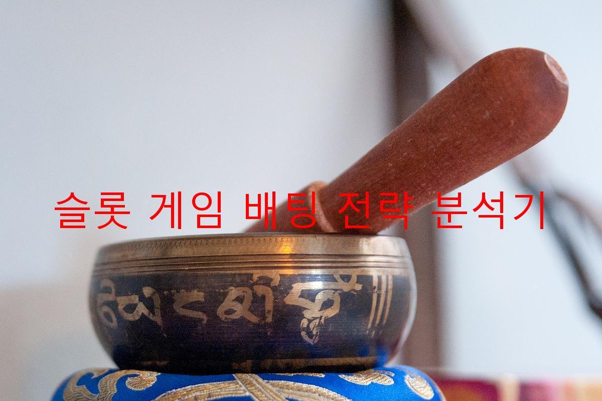 슬롯 게임 배팅 전략 분석기