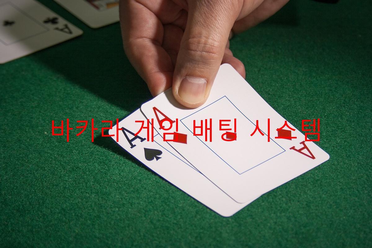 바카라 게임 배팅 시스템