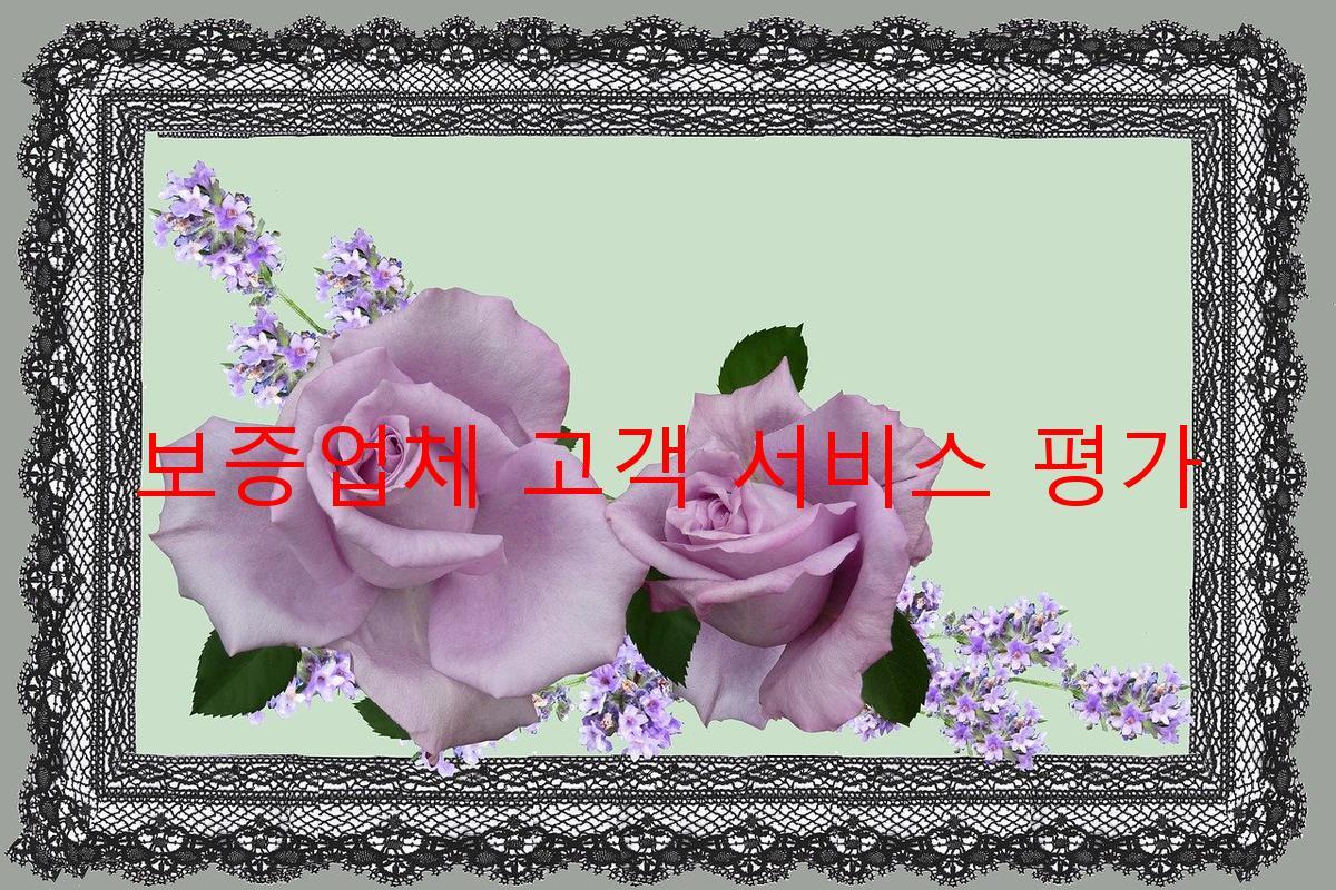 보증업체 고객 서비스 평가