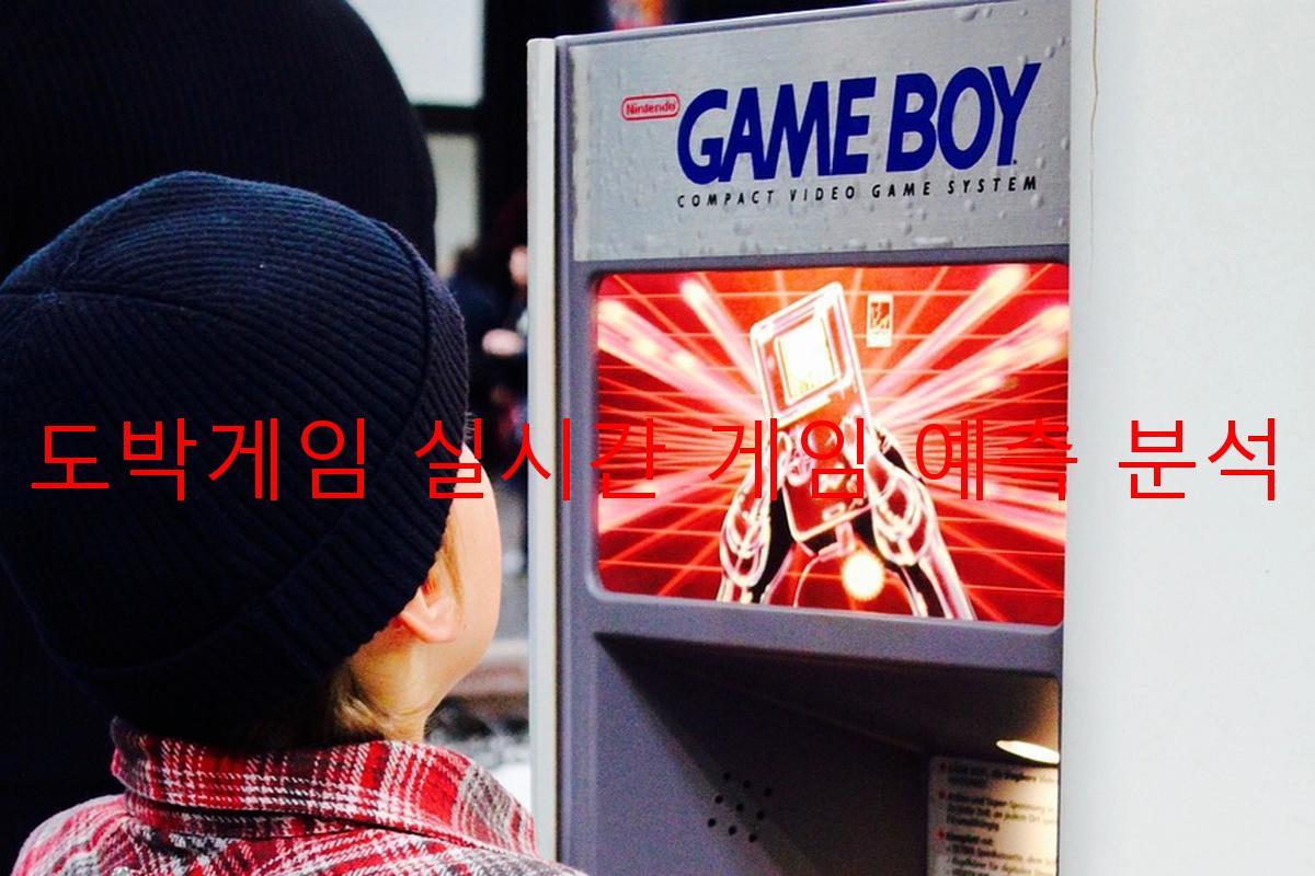 도박게임 실시간 게임 예측 분석