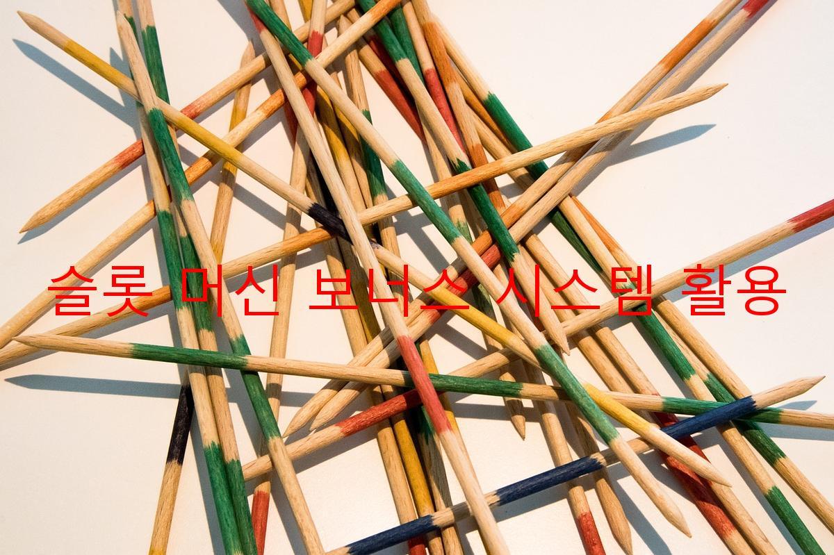슬롯 머신 보너스 시스템 활용