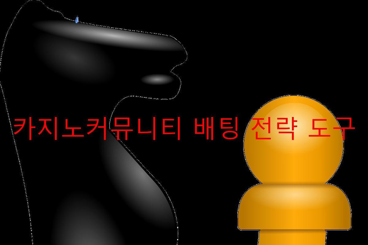 카지노커뮤니티 배팅 전략 도구