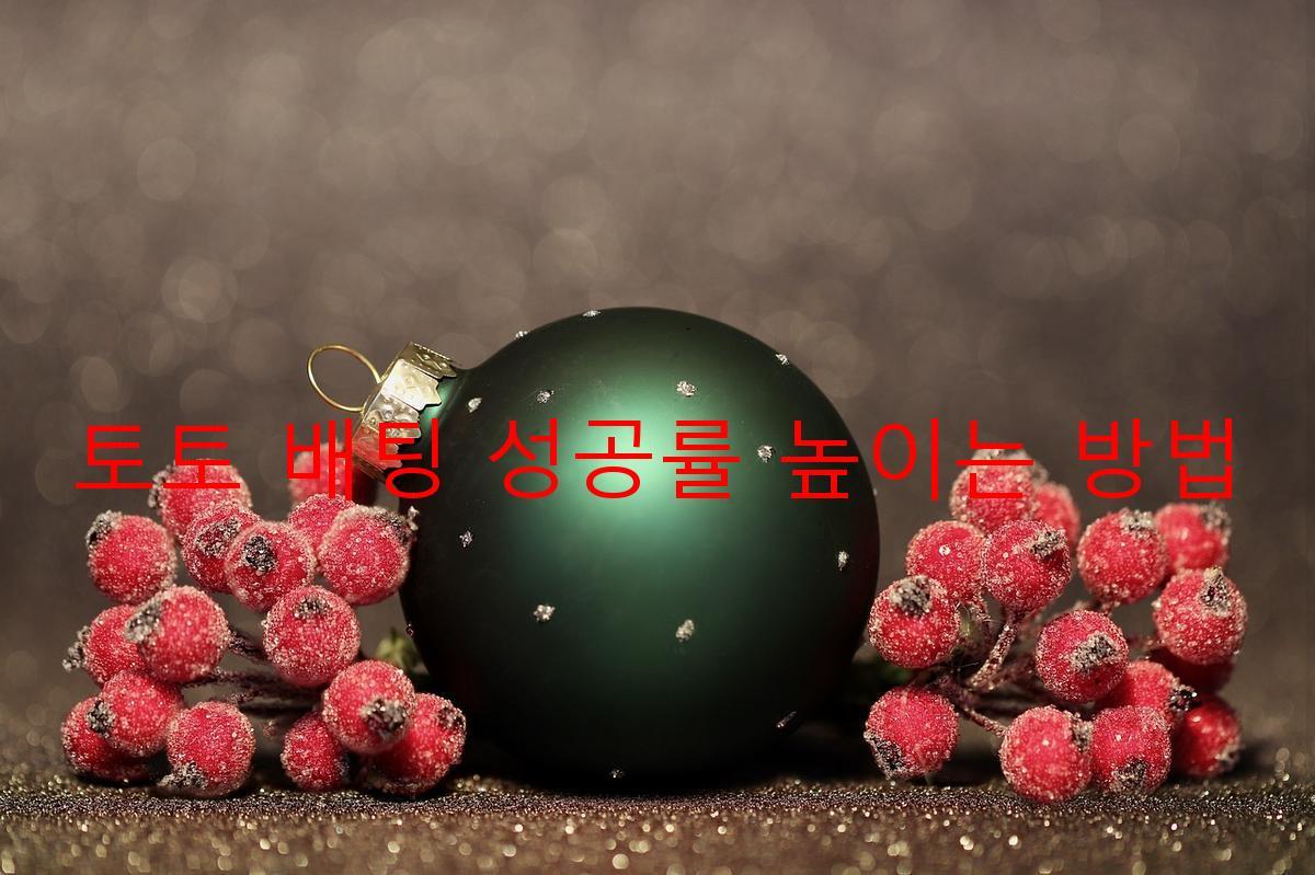 토토 배팅 성공률 높이는 방법