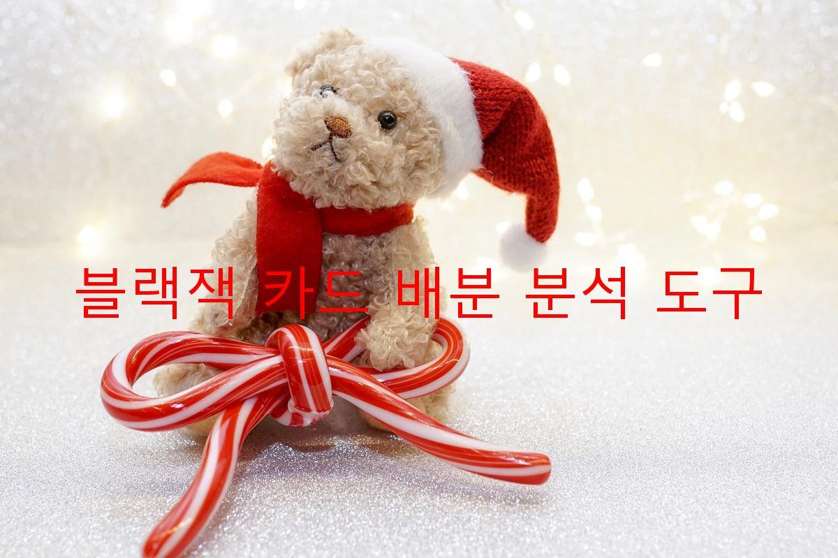 블랙잭 카드 배분 분석 도구