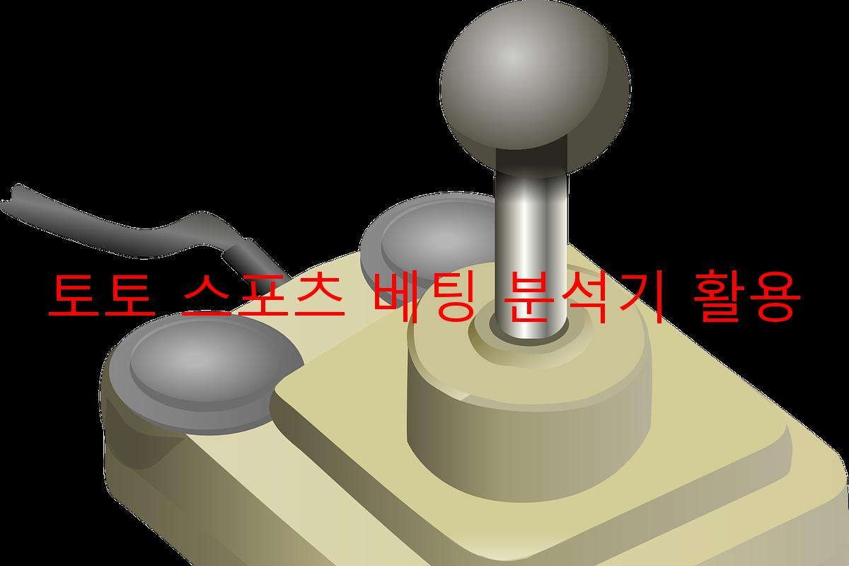 토토 스포츠 베팅 분석기 활용