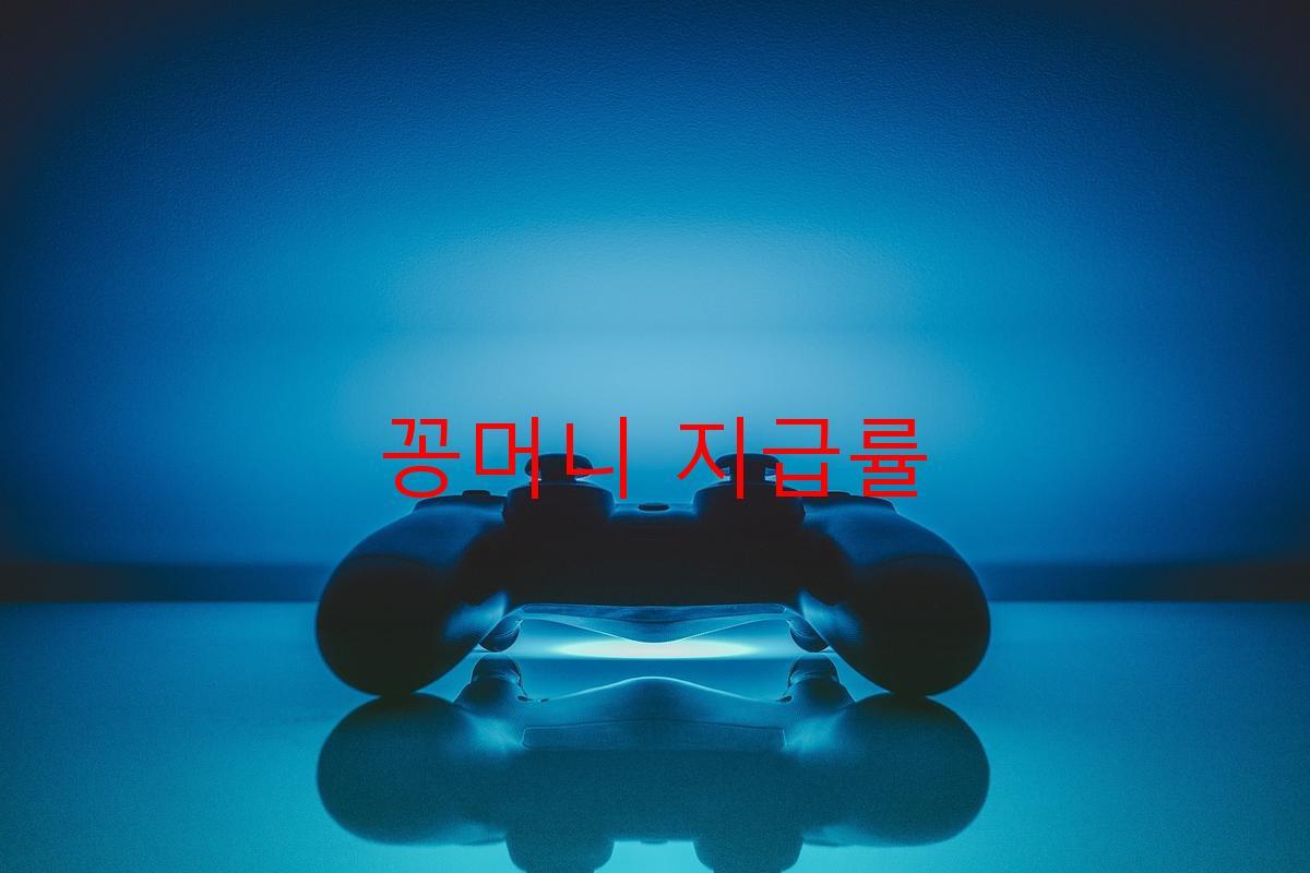 꽁머니 지급률