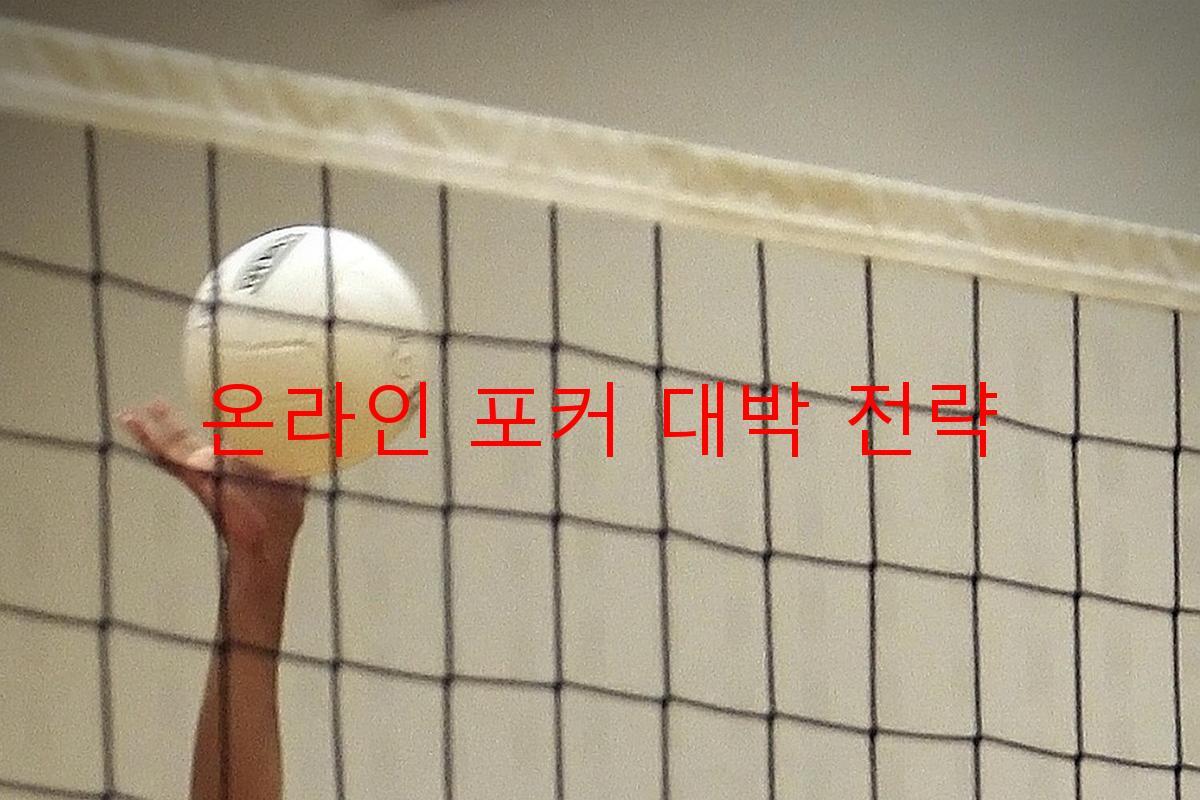 온라인 포커 대박 전략