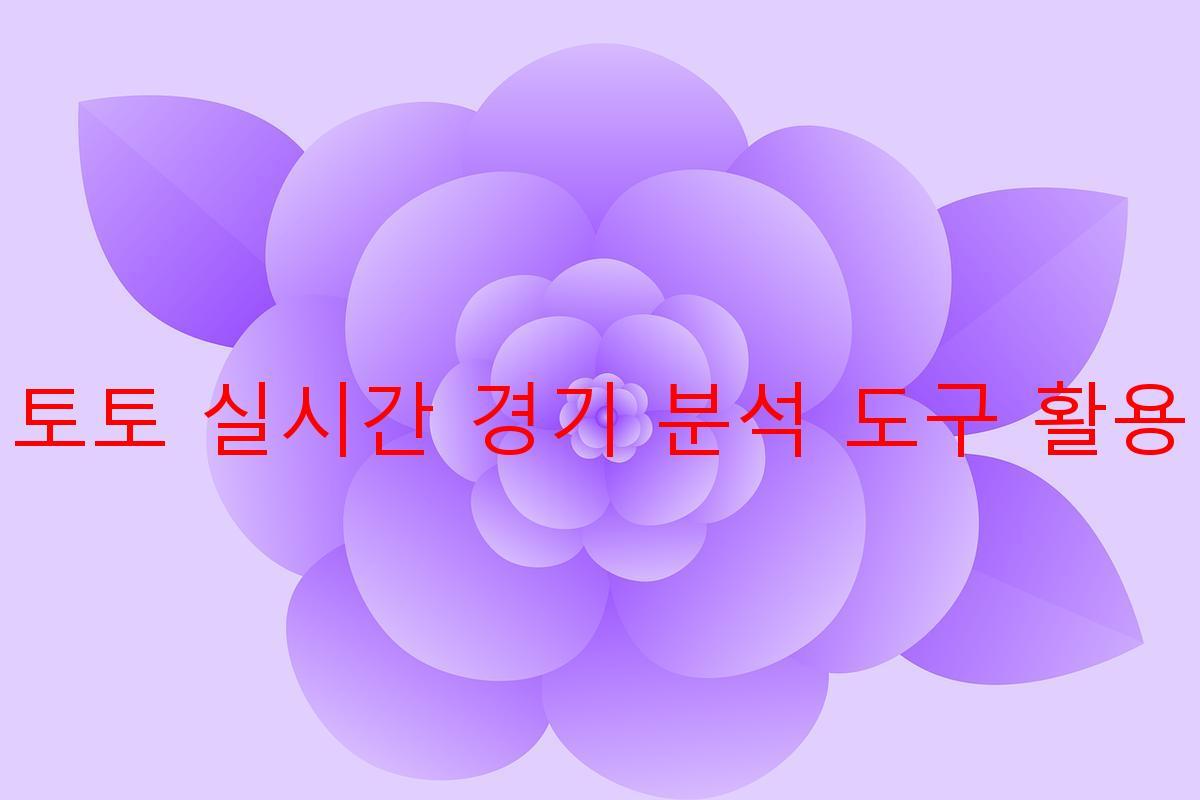 토토 실시간 경기 분석 도구 활용