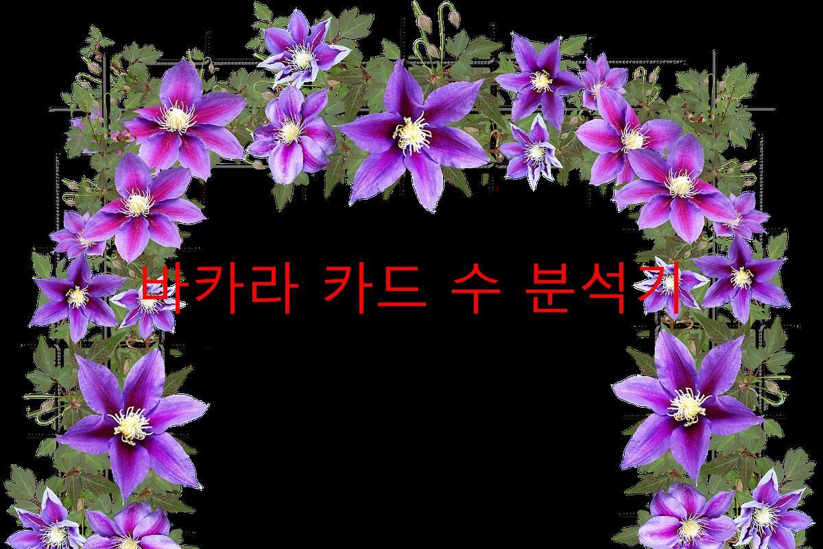 바카라 카드 수 분석기