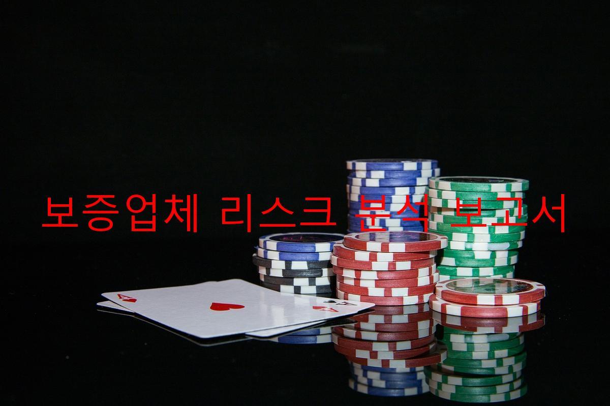보증업체 리스크 분석 보고서