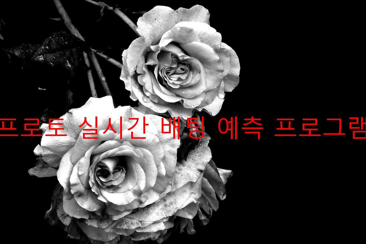 프로토 실시간 배팅 예측 프로그램