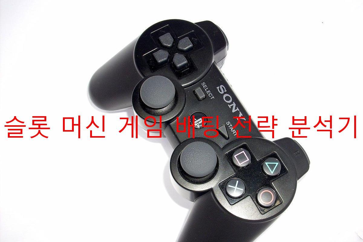 슬롯 머신 게임 배팅 전략 분석기