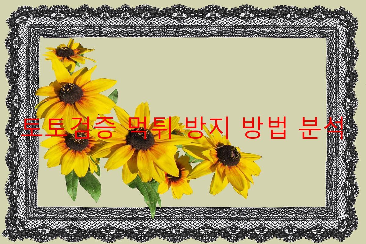 토토검증 먹튀 방지 방법 분석