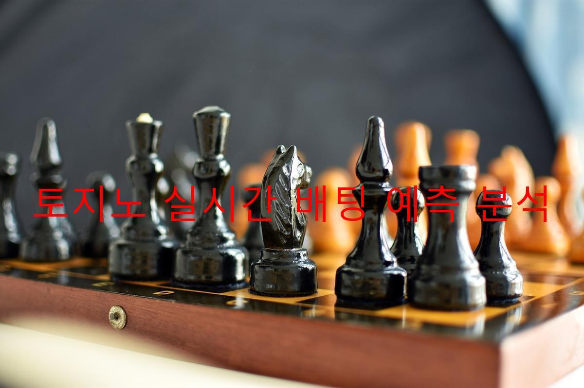 토지노 실시간 배팅 예측 분석