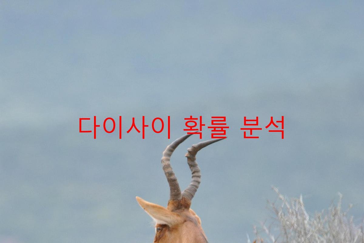 다이사이 확률 분석