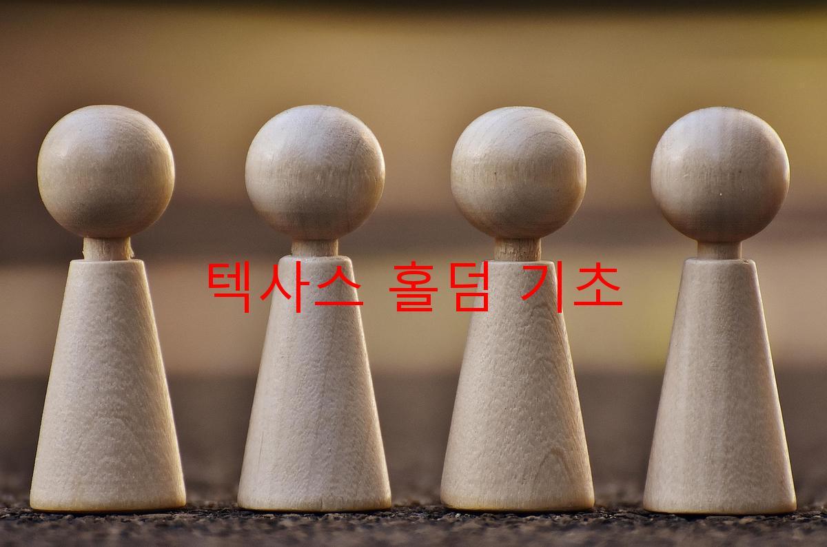 텍사스 홀덤 기초