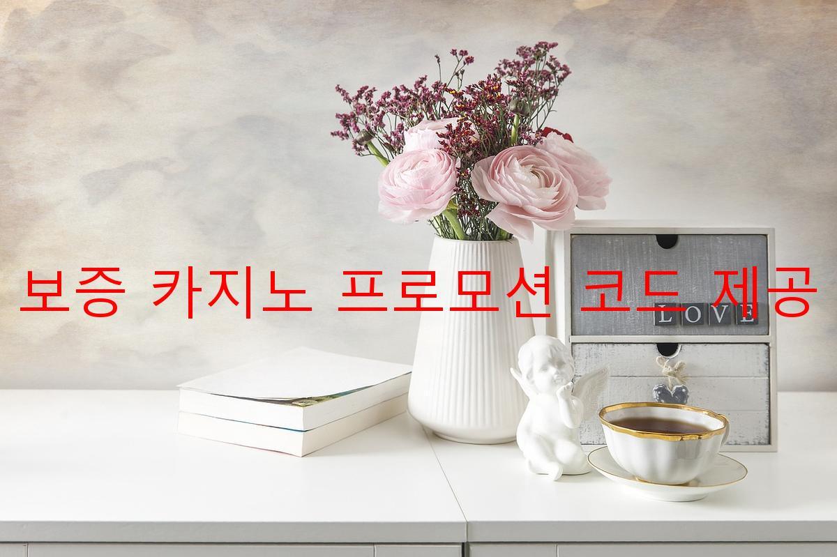 보증 카지노 프로모션 코드 제공