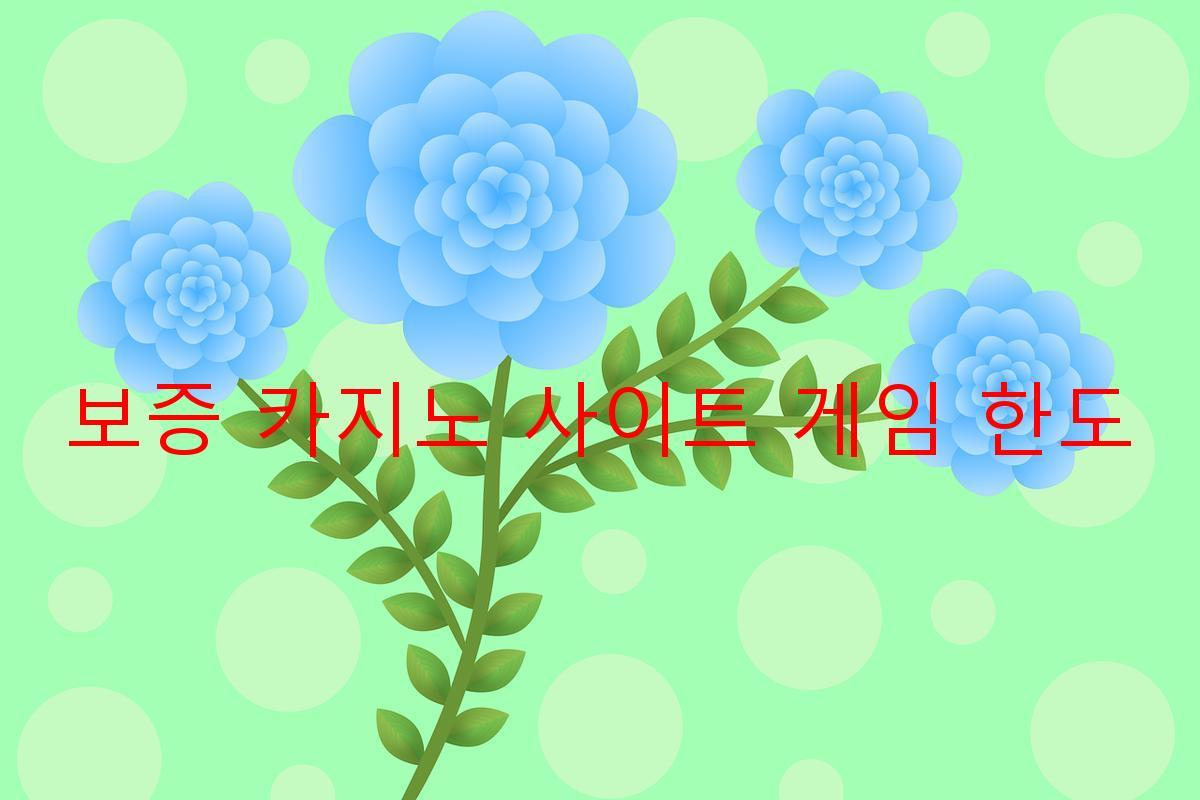 보증 카지노 사이트 게임 한도