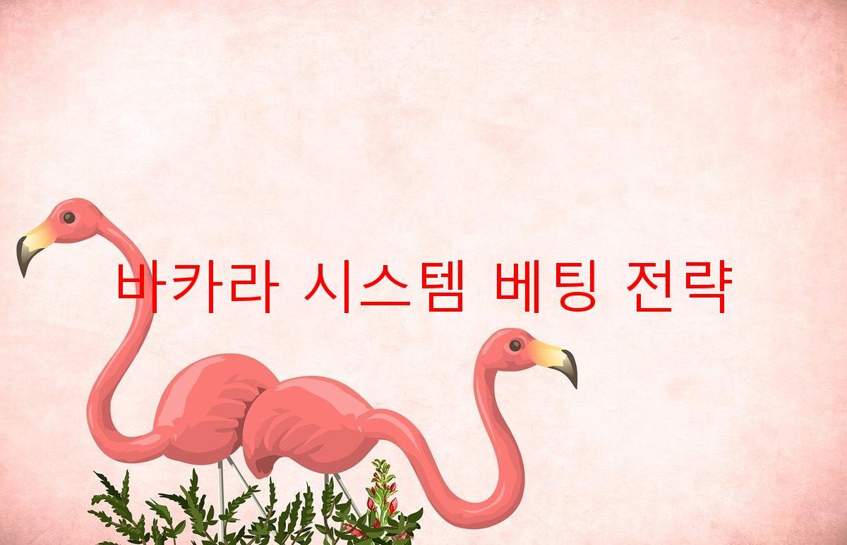 바카라 시스템 베팅 전략