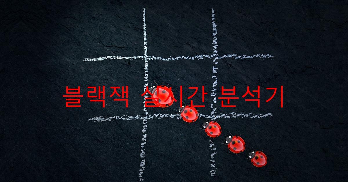 블랙잭 실시간 분석기