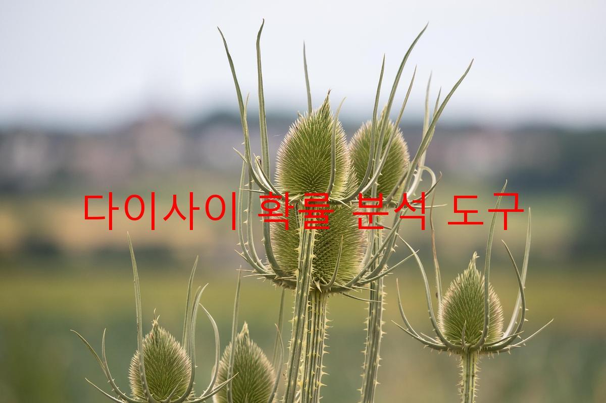 다이사이 확률 분석 도구